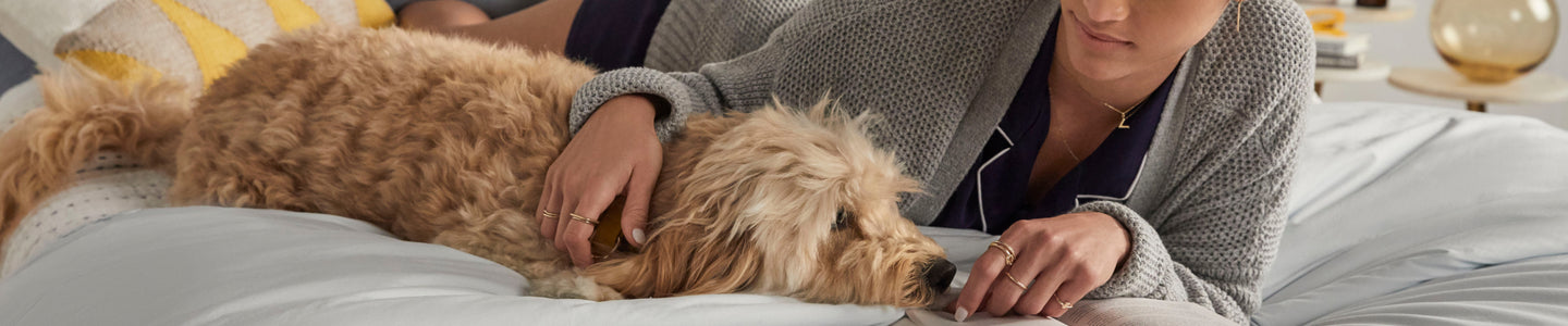 A woman laying in bed with a dog on a Serta mattress