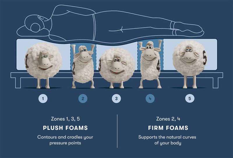 Image of Serta Sheeps holding up a silhouette of a woman laying on her right side on a mattress showing the 5 zones of comfort.