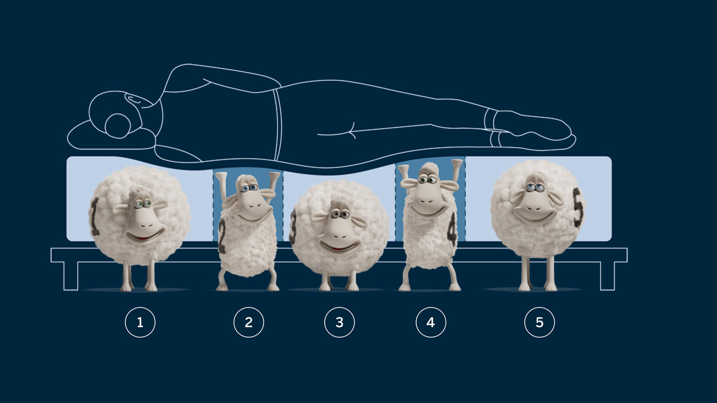 Mattress with 5 Zones of Comfort demonstrated by sheep