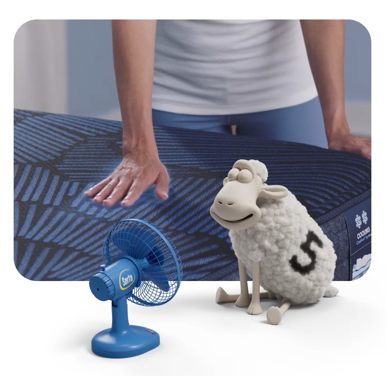 serta sheep with fan blowing on him