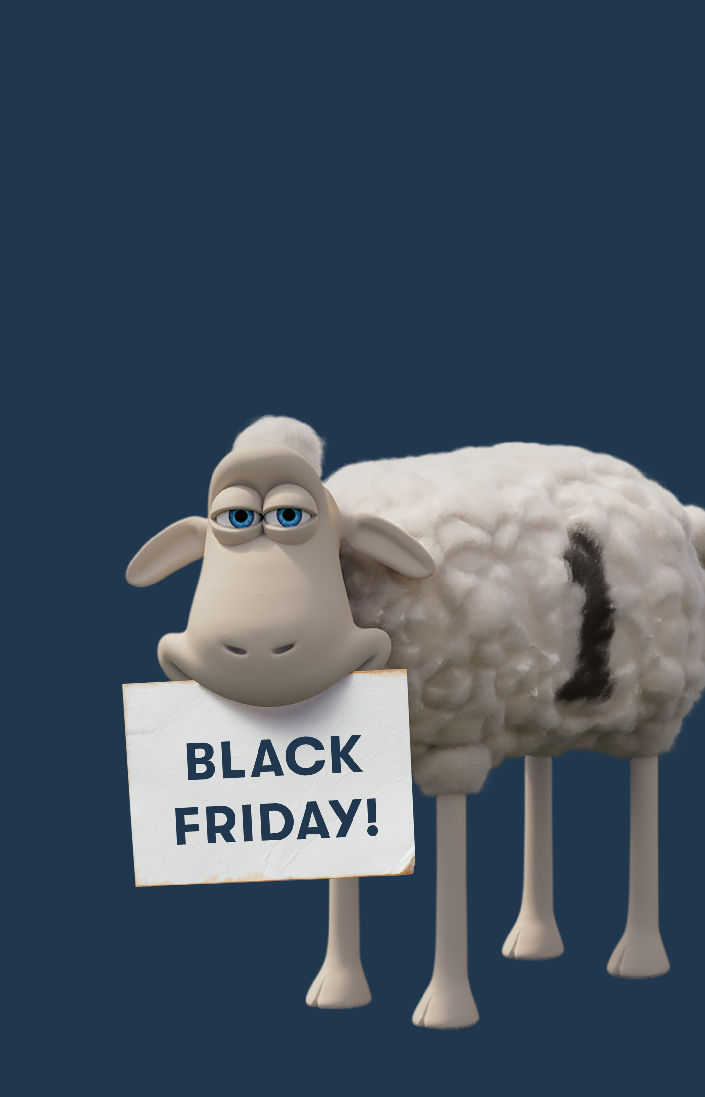 black friday sale page hero banner mobile