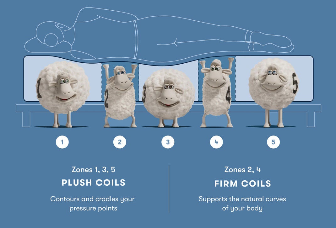 Mattress coil zones with sheep illustration