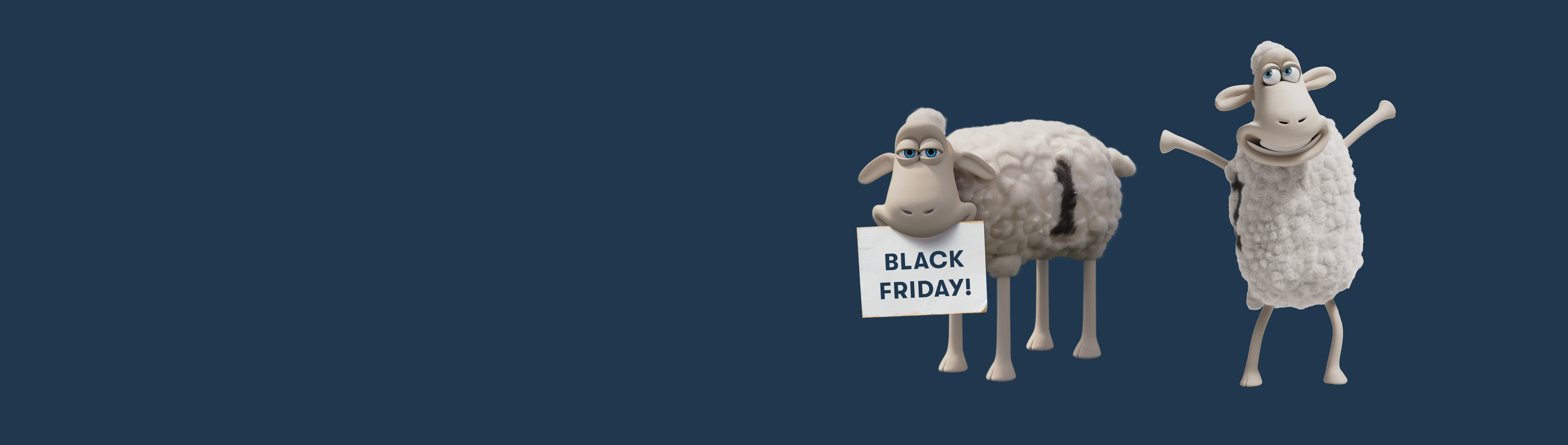 black friday sale page hero banner