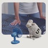 Person with fan and sheep figurine