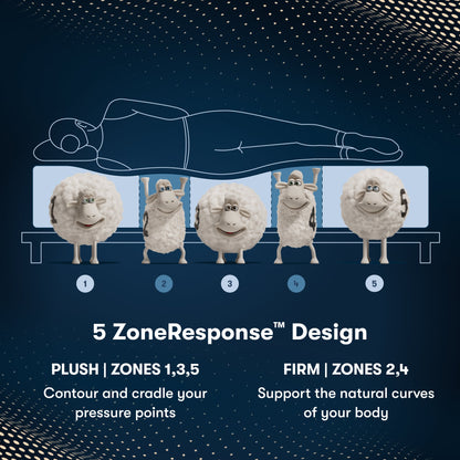 iComfortPro Chelsea Medium Mattress Component 5 Zone chart || feel: medium || level: Level 1
