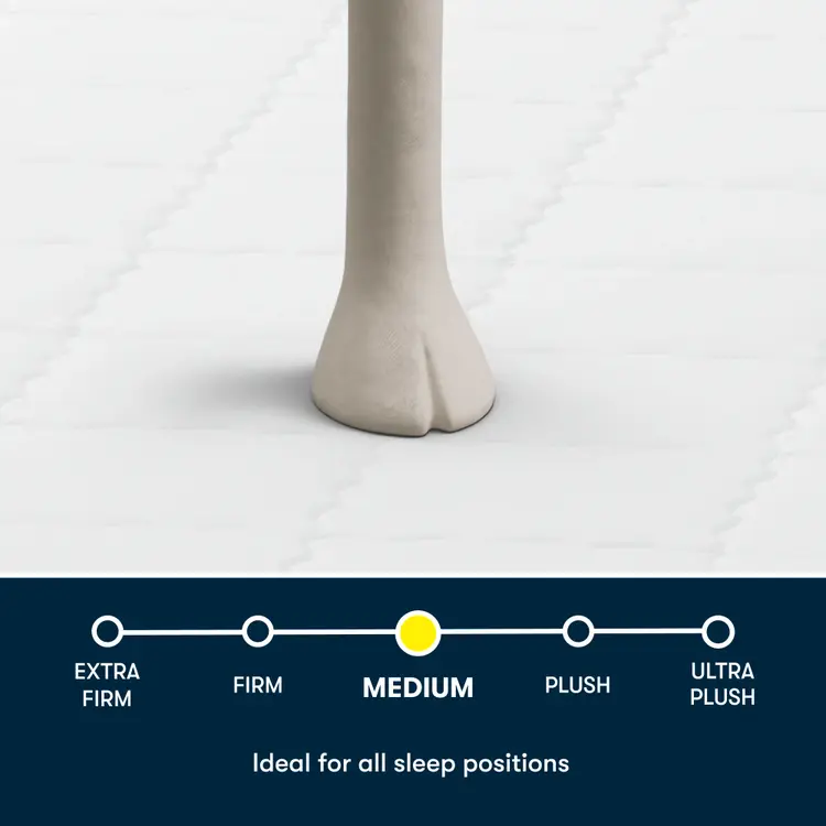 alt_txt Image of a Serta sheep foot stepping on a Serta mattress showing the medium size.