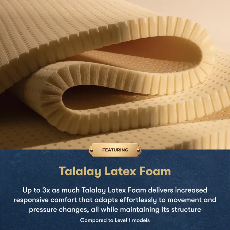 Masterpiece™ Handcrafted by Serta® Grand Exhibit Plush