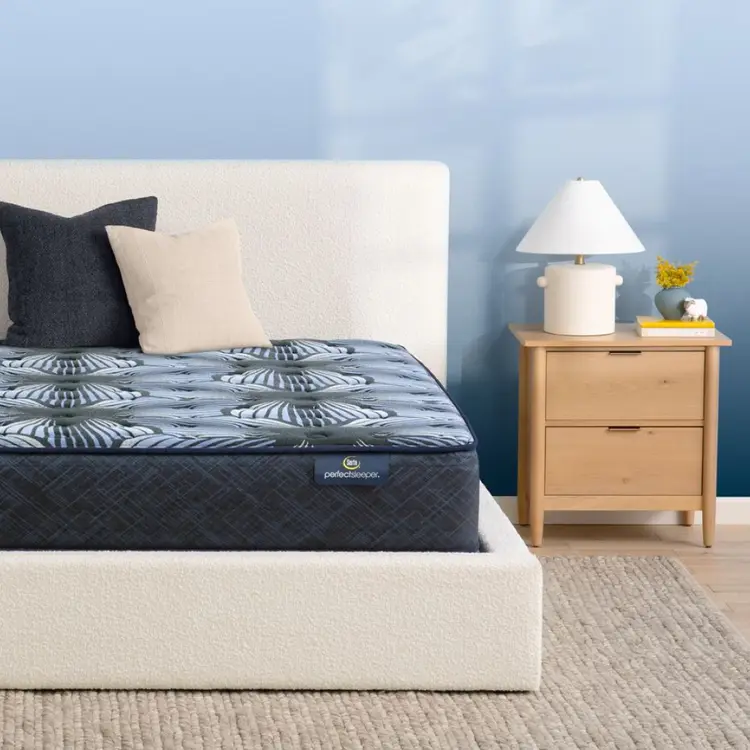 Perfect Sleeper Sleep Excellence