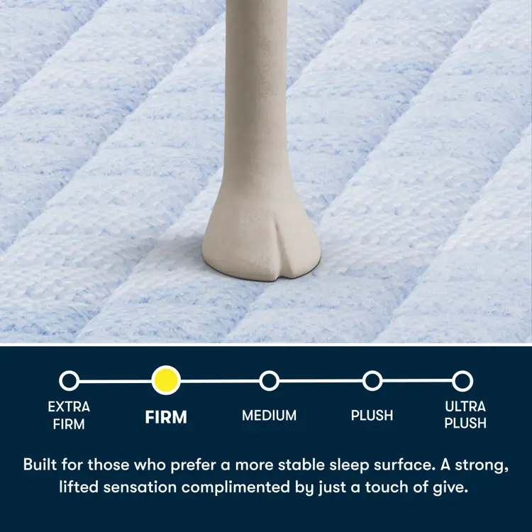 Serta Five Star Mattress - 14" Firm