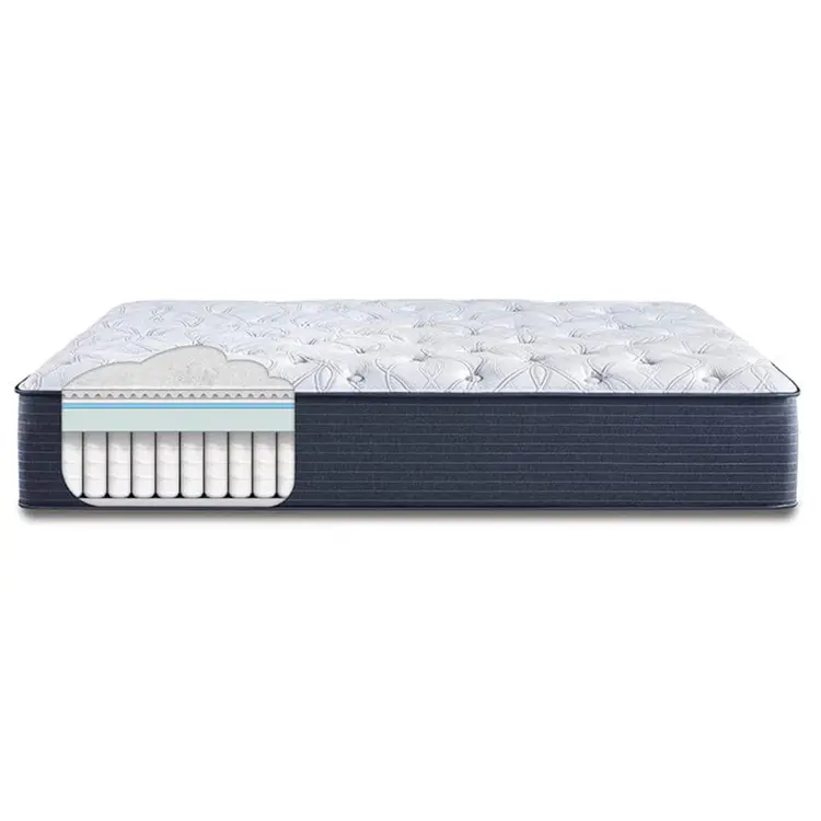 Serta Classic Elite Plush 14"