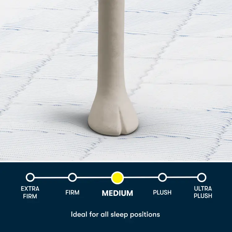 Serta Five Star Mattress - 10" Medium