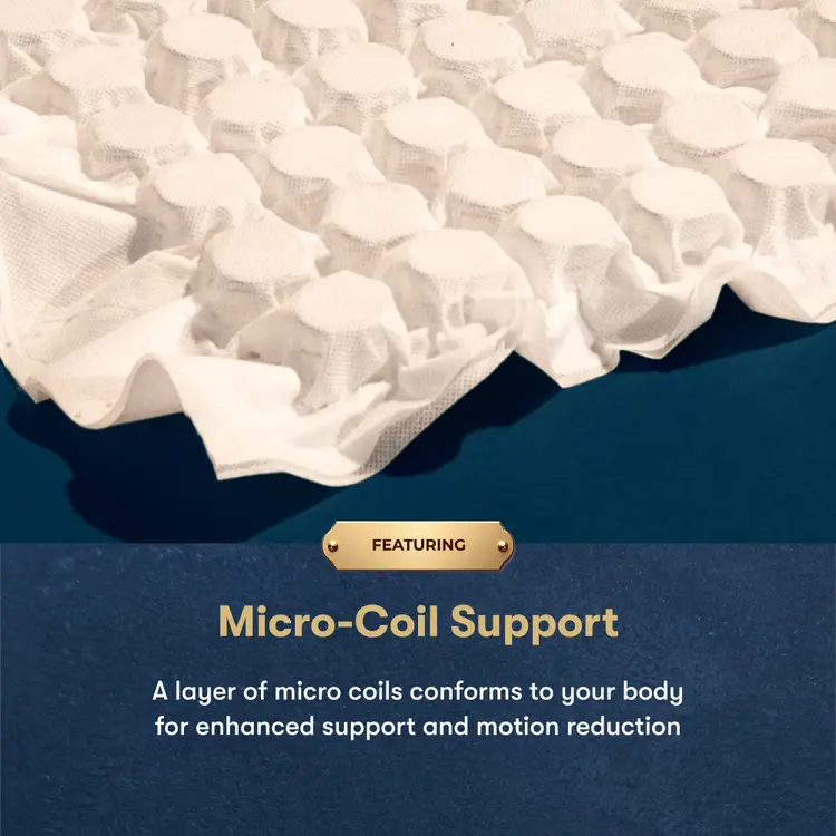 Masterpiece™ Handcrafted by Serta® Exhibit Plush