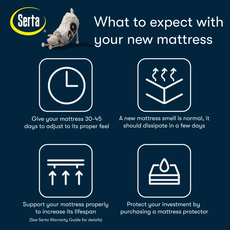 Sheep Retreat 10" Medium Memory Foam Mattress