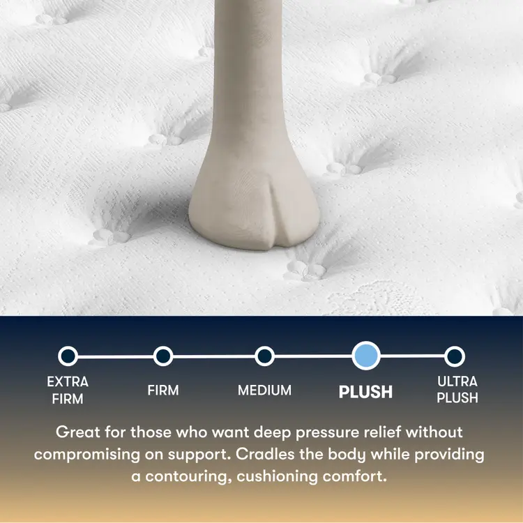 *Perfect Sleeper Innerspring Mattress