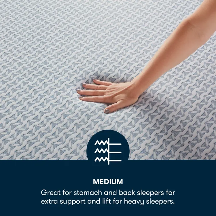 Sheep Retreat 10" Medium Memory Foam Mattress