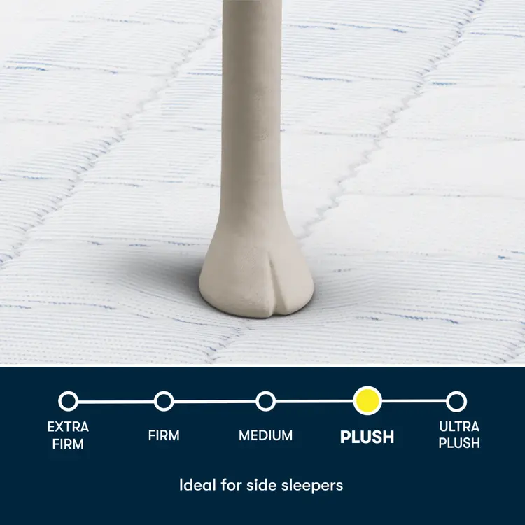 Image of a Serta sheep foot stepping on a Serta mattress showing the Plush Pillow Top size.