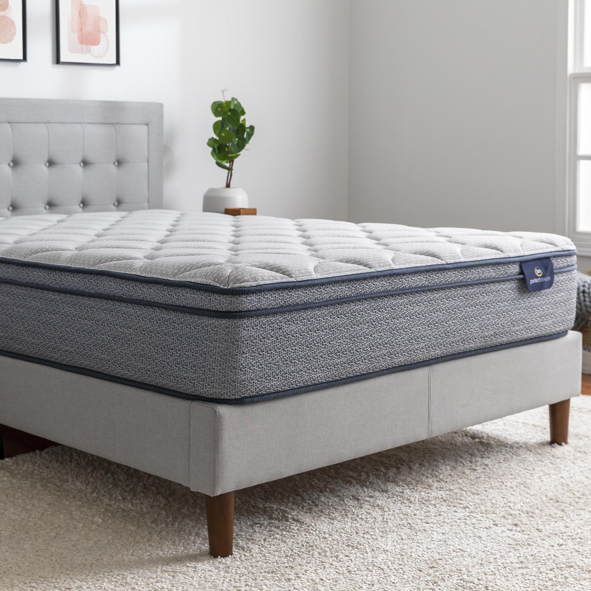 Perfect Sleeper Charlotte 10.5 inch Plush Euro Top Mattress